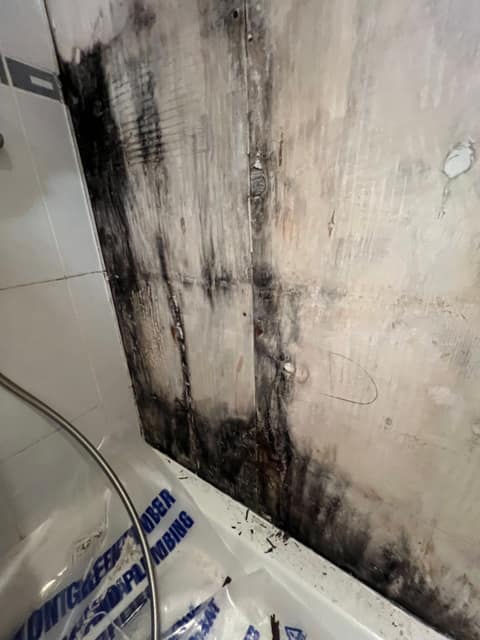 Bathroom renovation West London — Bathrooms